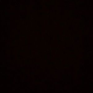 Meet your Posher, Angelo